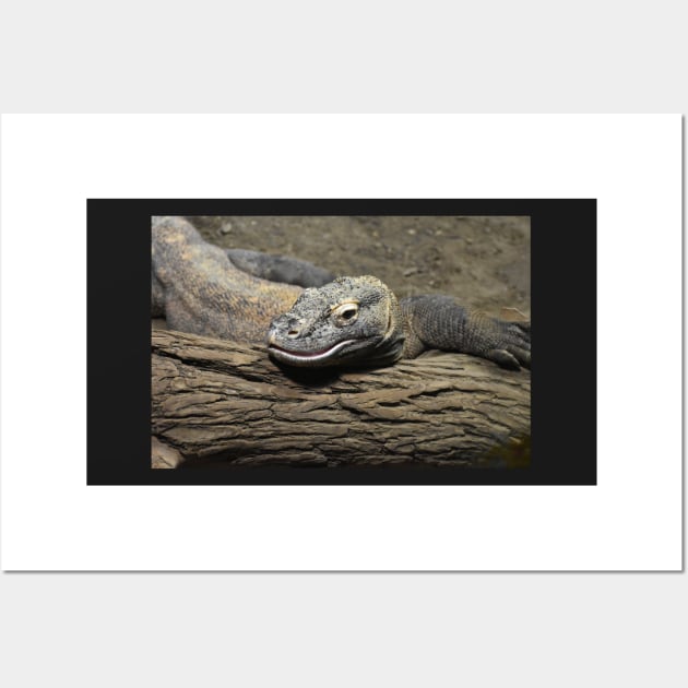 Komodo dragon Wall Art by Sharonzoolady